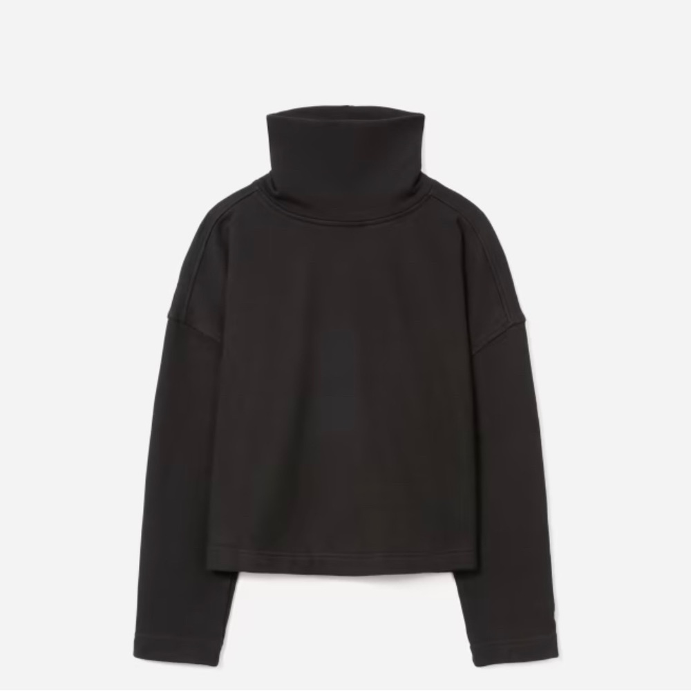 NWT The Turtleneck Sweatshirt - Everlane